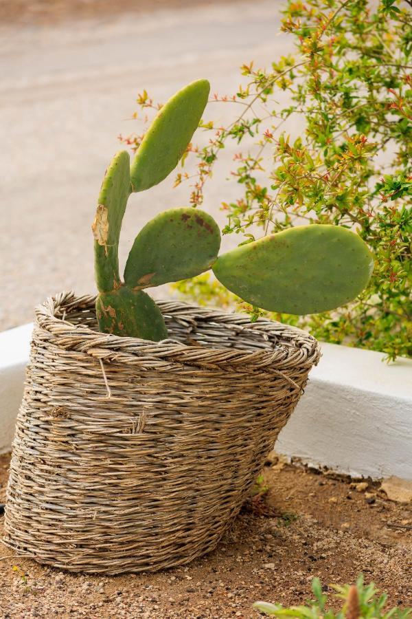Aerno Home & Azul Ηοme - Ahilli Slow Living Kamári Exterior foto